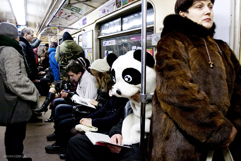 Panda in Kyiv metro